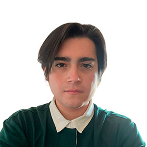 Perfil